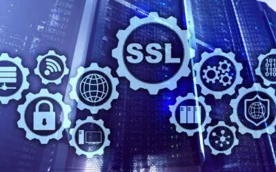 Fixing Divi SSL/HTTPS Errors: A Complete Guide to Secure Your Website